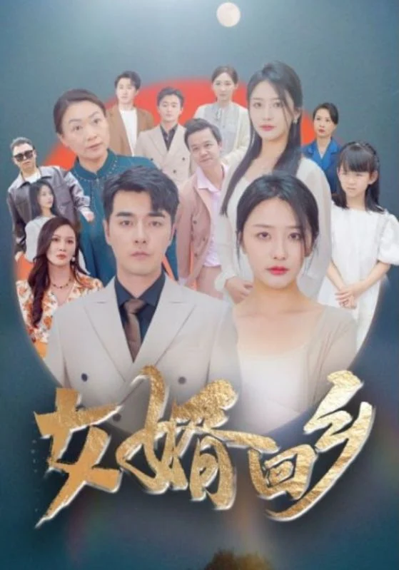 《女婿回乡》作品宣传图