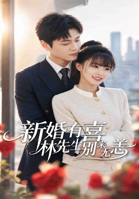 《新婚有喜林先生别来无恙》作品宣传图