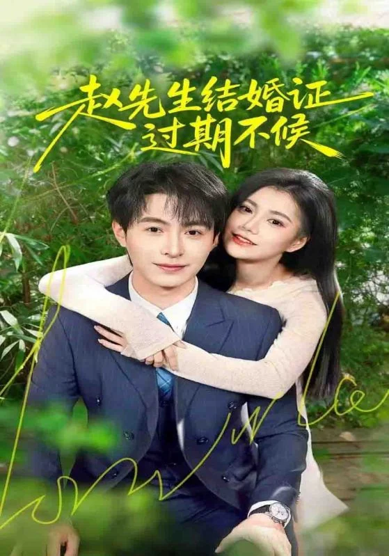 《赵先生结婚证过期不候》作品宣传图